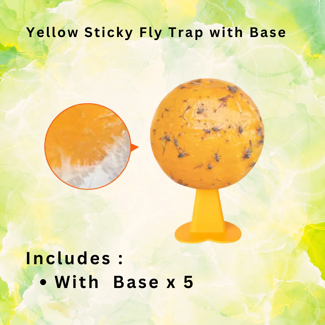 Sticky Fruit Fly Trap Ball Attracting Insect Trap (2 pcs)
