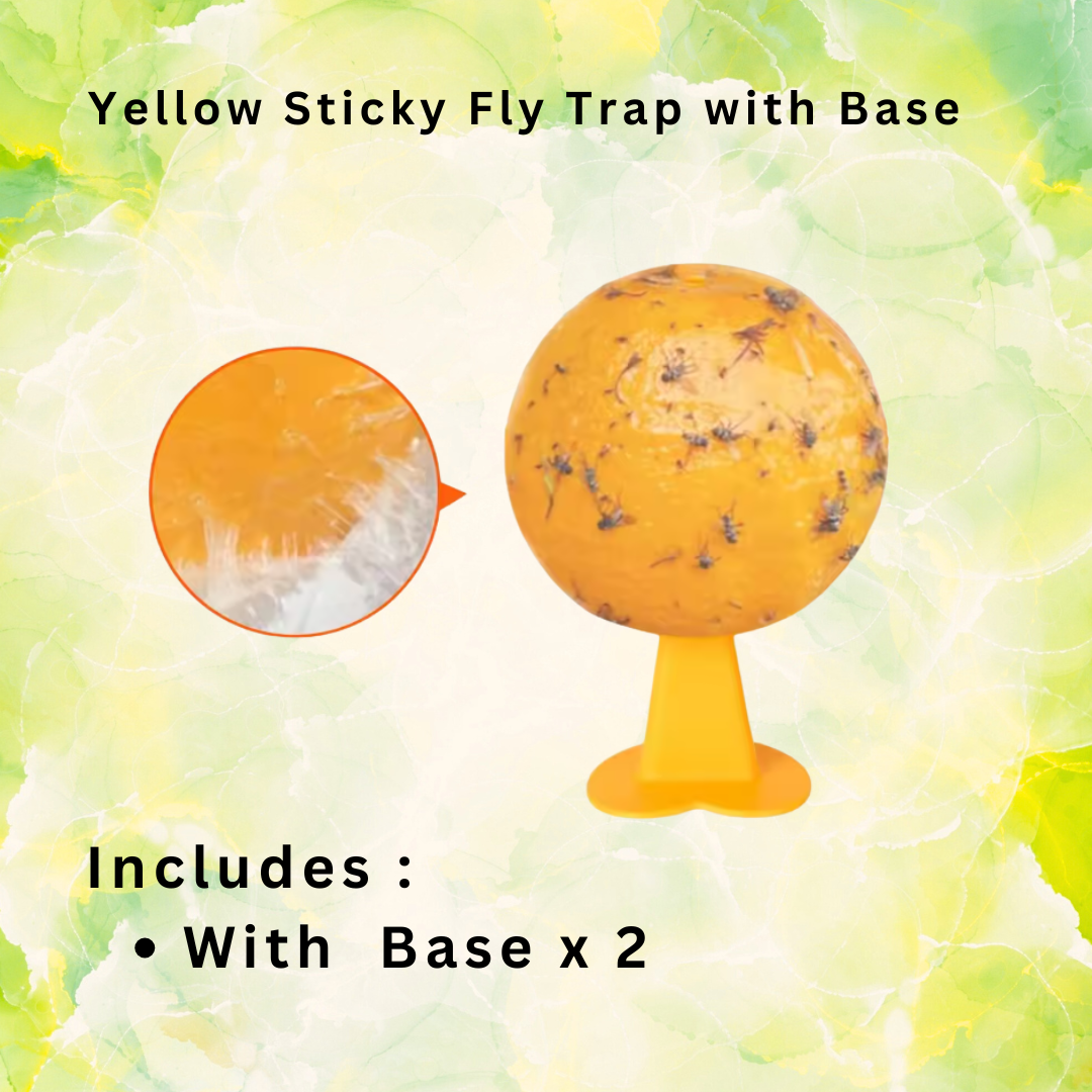 Sticky Fruit Fly Trap Ball Attracting Insect Trap (2 pcs)